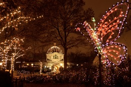 Holiday Lights to Return to the Bronx Zoo